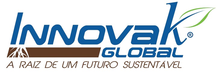 LOGO INNOVAK