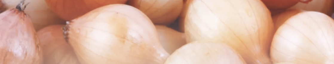 Cebola