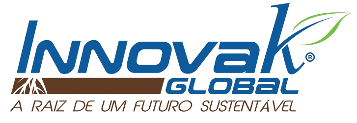 LOGO INNOVAK